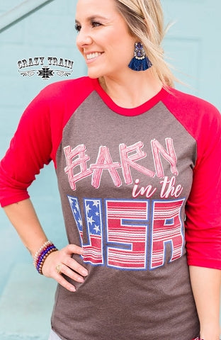 BARN IN THE USA BASEBALL Tee